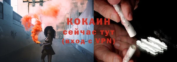дмт Рыльск