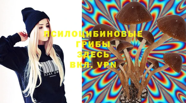 синтетический гашиш Осинники