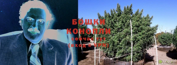 каннабис Осташков
