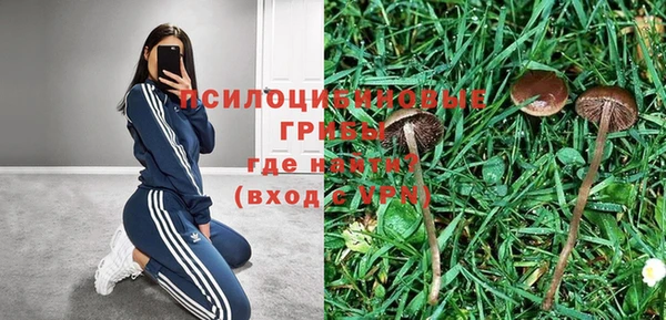 каннабис Осташков