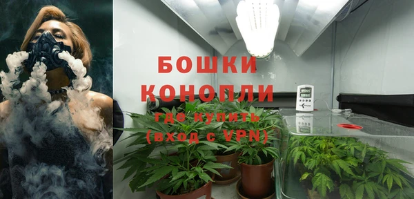 каннабис Осташков