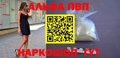 амф Кингисепп