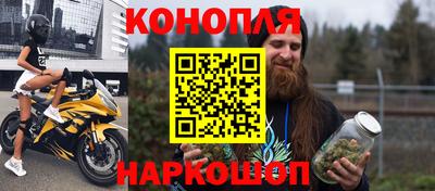 амф Кингисепп