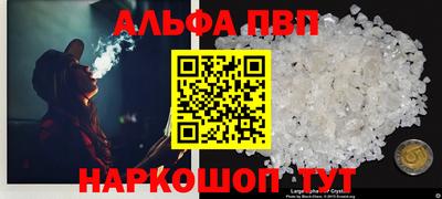 амф Кингисепп