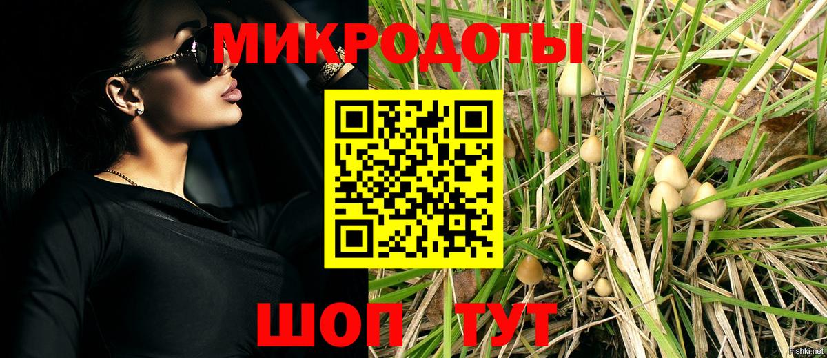 Галлюциногенные грибы Psilocybine cubensis Красноярск